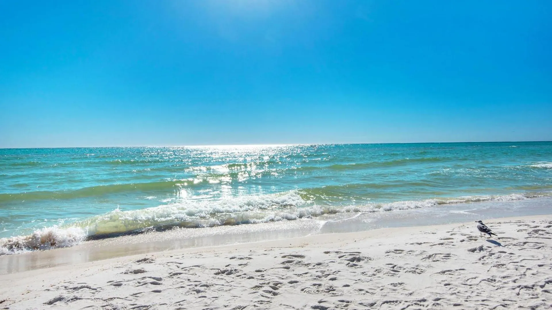 Shores Of Panama 2112 Panama City Beach 0*,  USA
